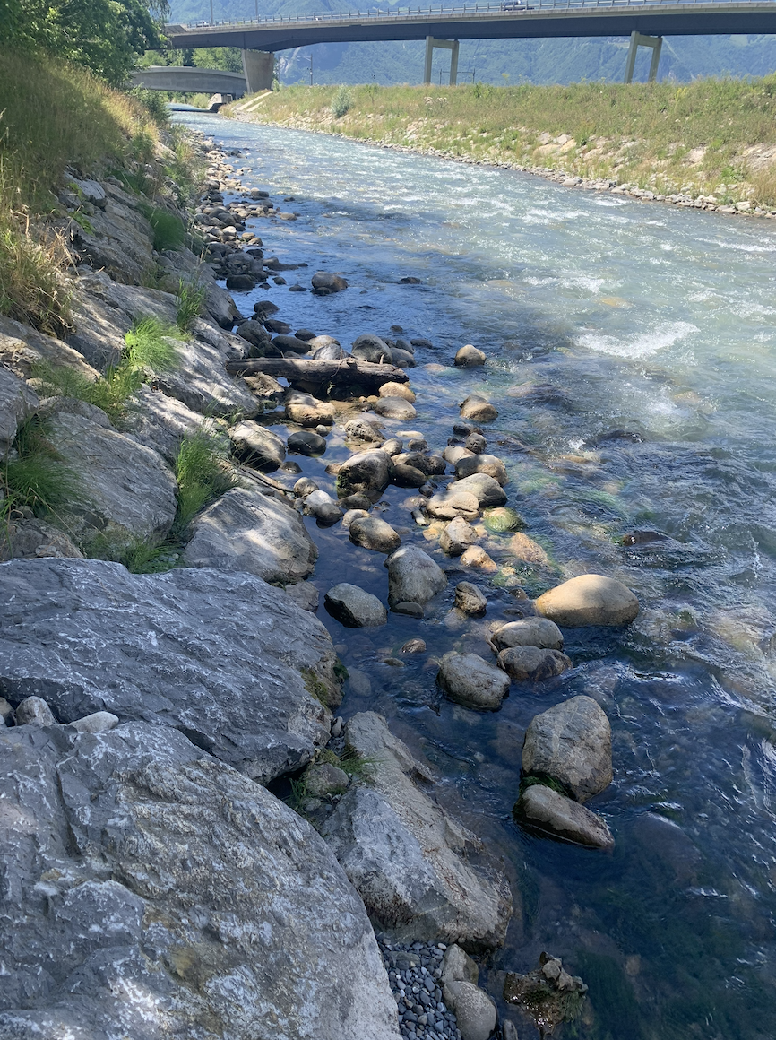 Rhone cleanup